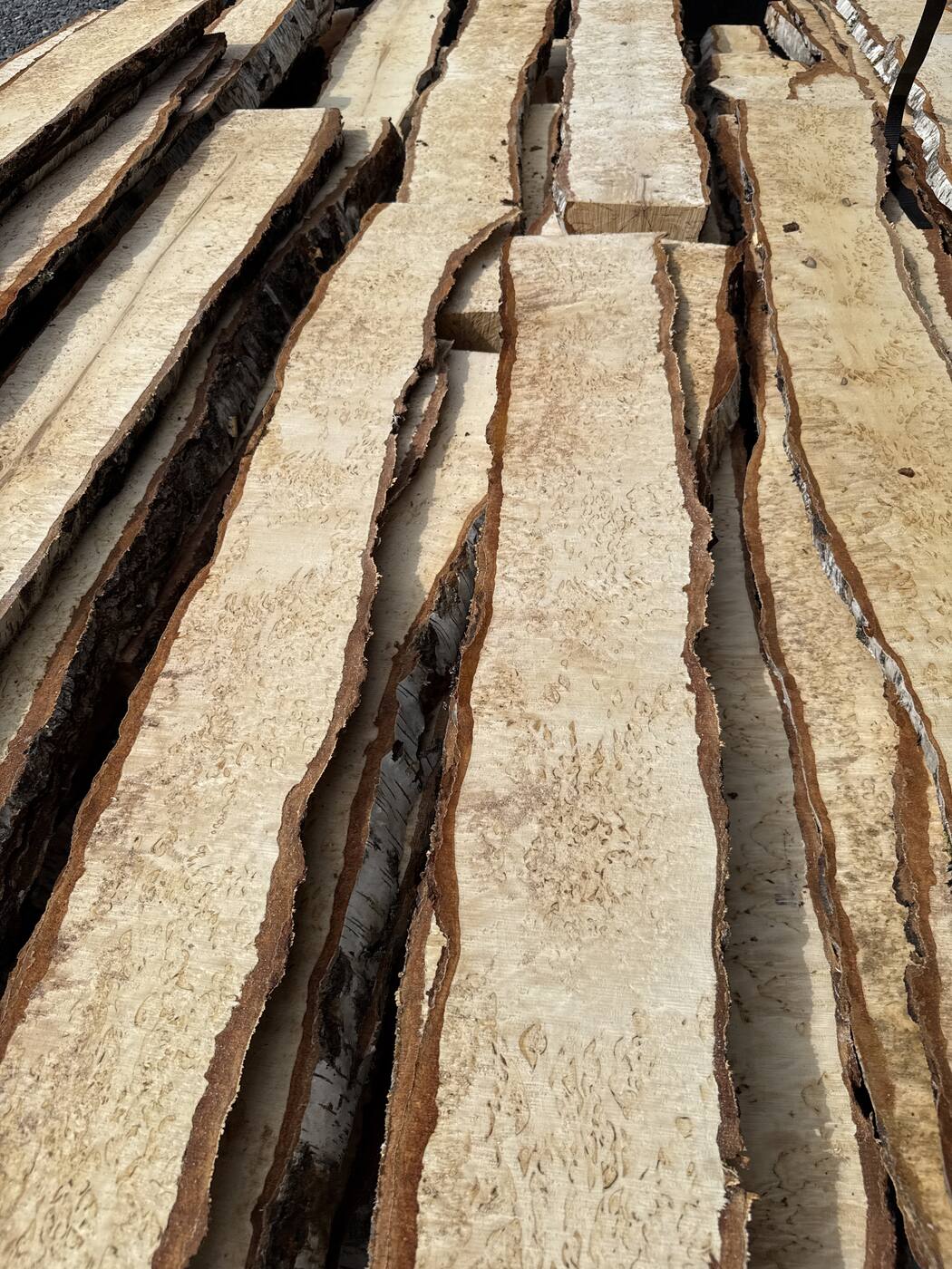 A stickered row of curly birch slabs air-drying, bark edges visible, showing the range of figure across a single batch