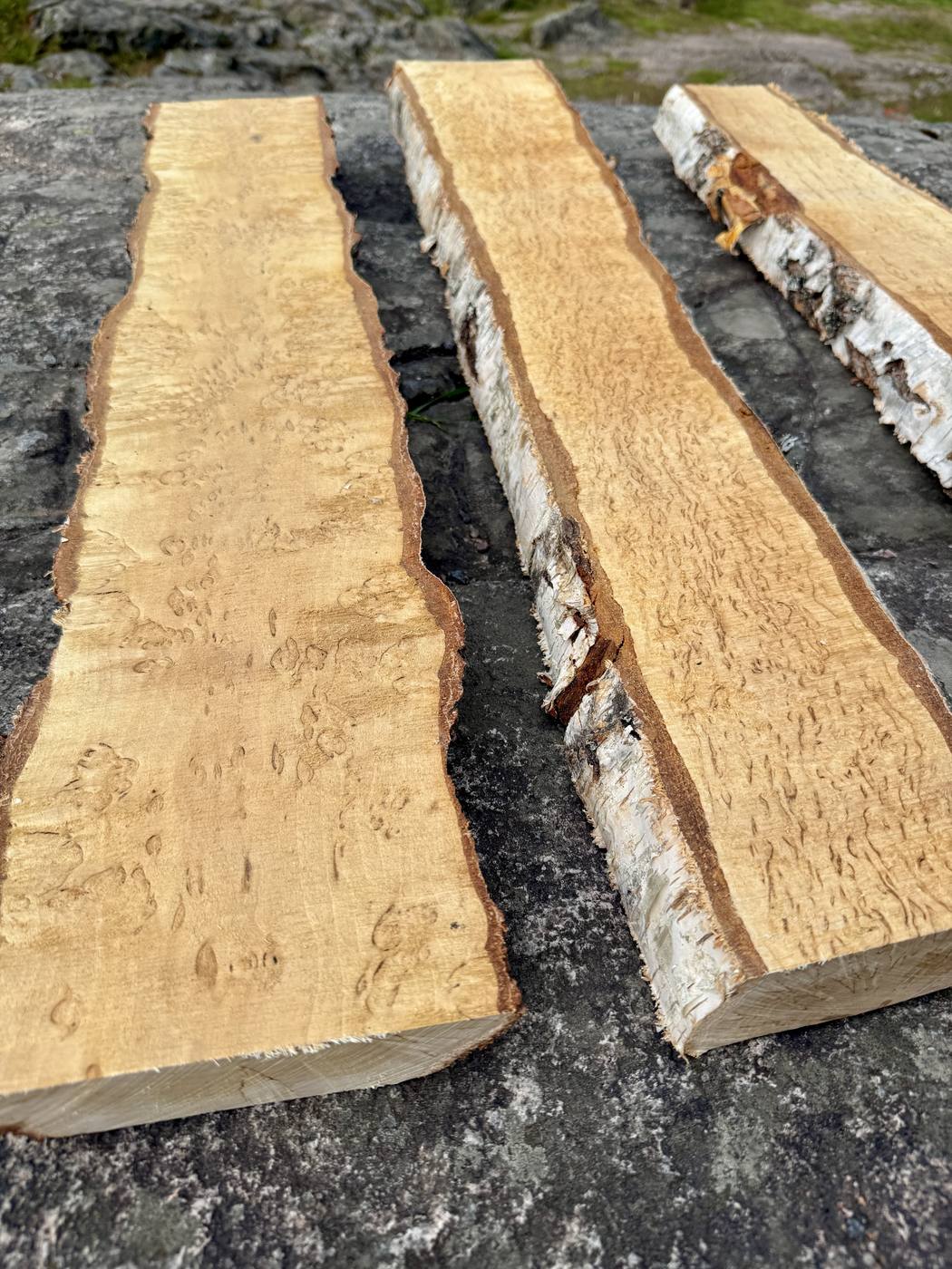 Freshly sawn curly birch slabs with natural bark edge, laid out on rock outside the sawmill
